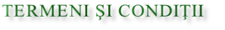 Termeni şi condiţii