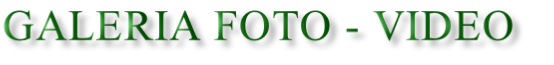 Galeria Foto - video