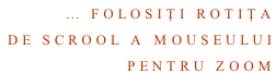 … folosiţi rotiţa de scrool a mouseului  Pentru zoom